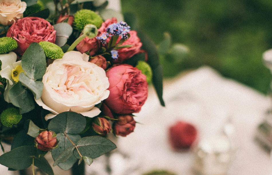 Bloom Image